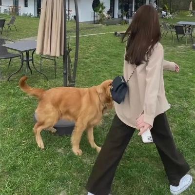 黛西·米勒